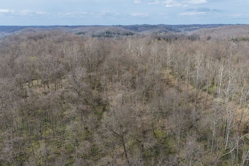 DJI_20260330151004_0012_D