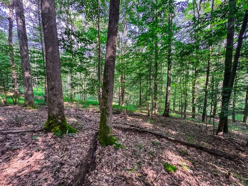 Lewis, WV 105 AC Miller-53