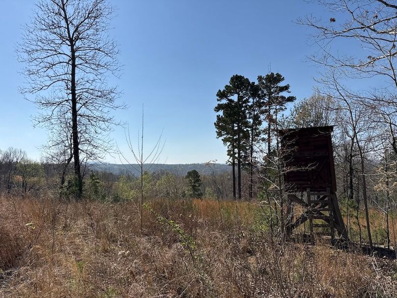 DJI_20260326_110352_577