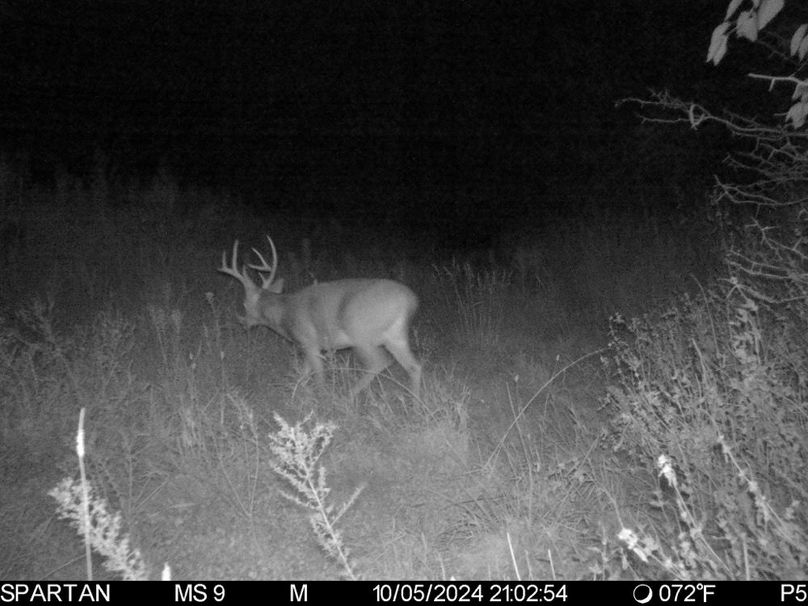 File Oct 09 2024, 7 37 03 PM