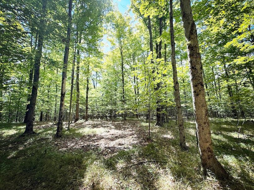 Tioga NY 64 Shores 1