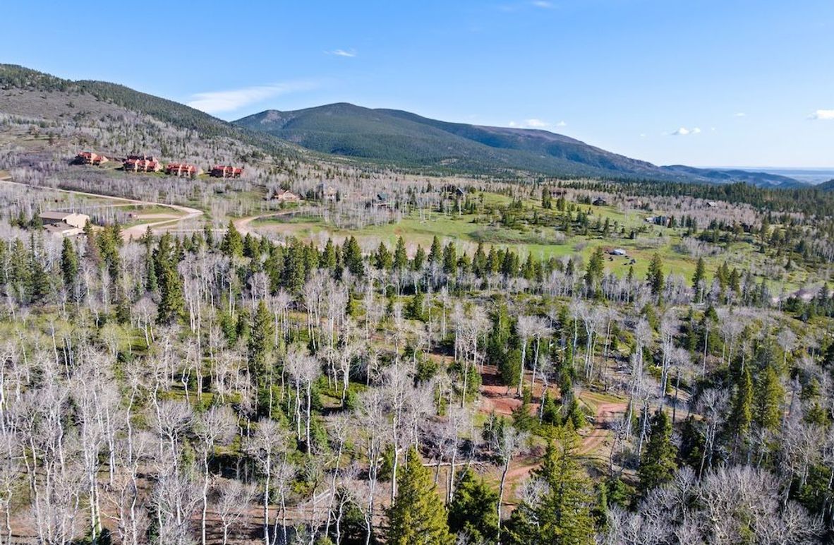 DJI_20250516081237_0046_D