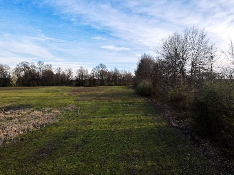 vandalia 450 (2)-2313