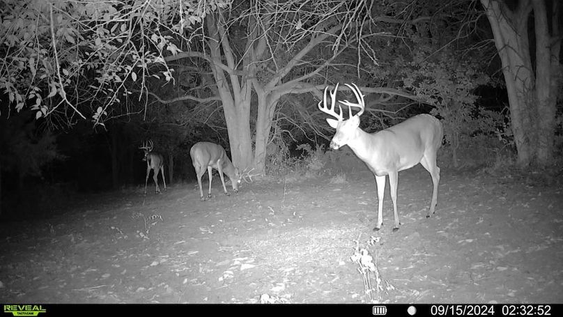 Trail cam 14