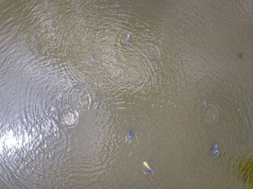 DJI_20250915125726_0648_D