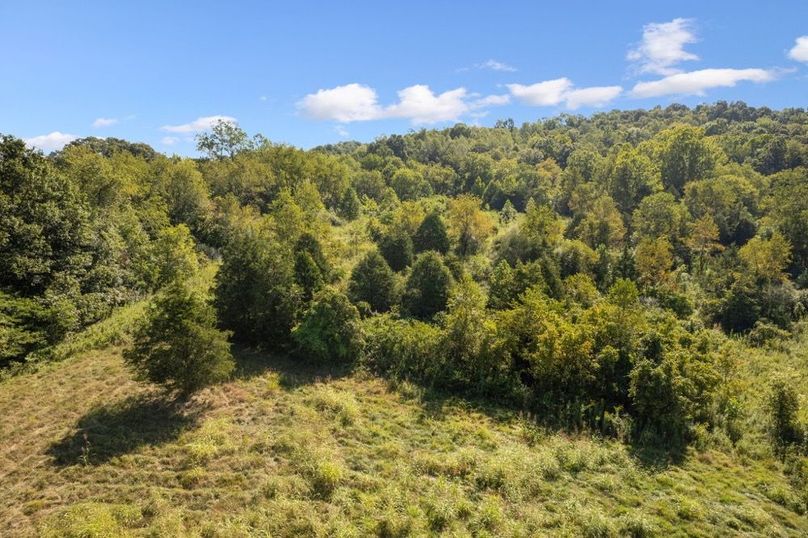 28-web-or-mls-DJI_0303