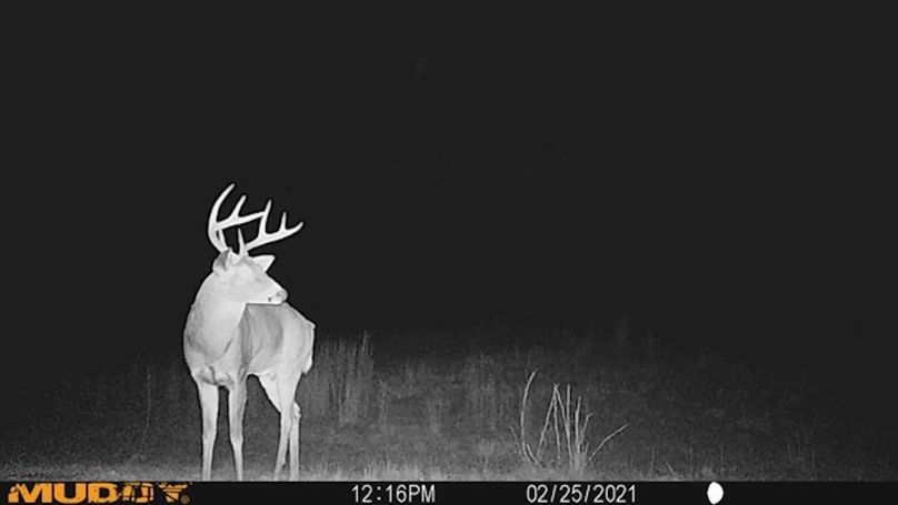 trailcam10