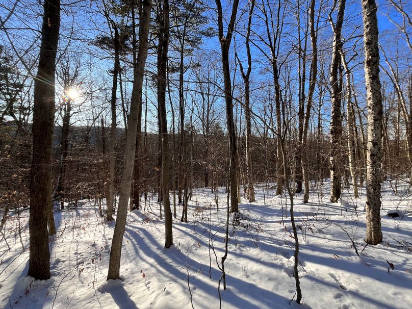 Tioga_11.9_Kilroy_Photos_31