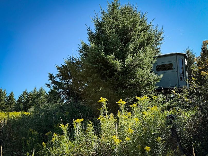 Tioga NY 232.62 Shores Photos 30