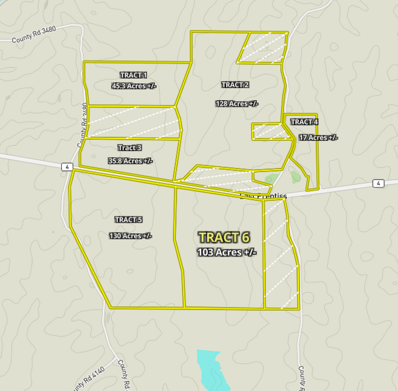 Prentiss 459-Tract 6 Map-01