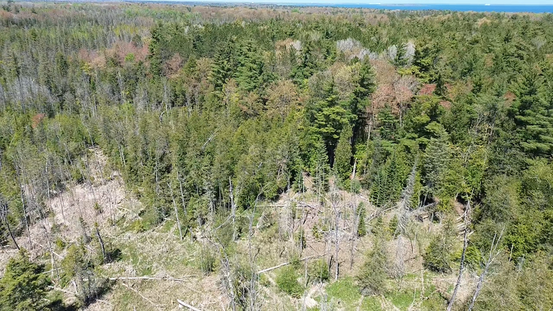 2024-05-15-13-55-32-169