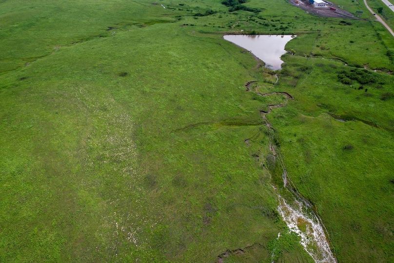 DJI_0653