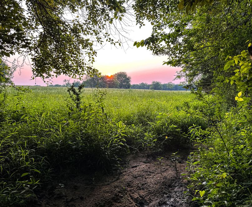 Clay County, MS 17.5+_- Jennings-04