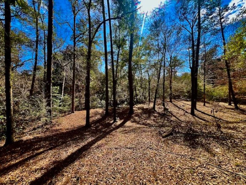 6D3A9494-1E17-4B18-A4D5-760EFEE867FA_1_201_a