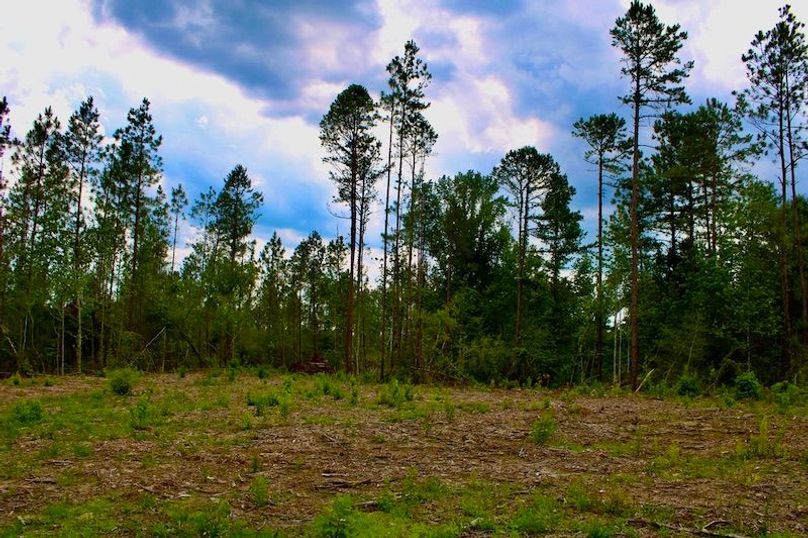 E5590148-E4B5-45B1-9AED-2A50CAF179BA_1_105_c