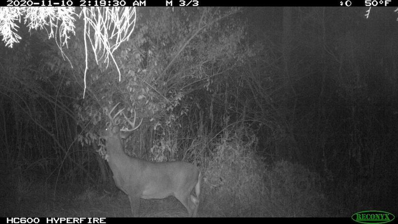 2020-11-10 02-19-30 M 3_3