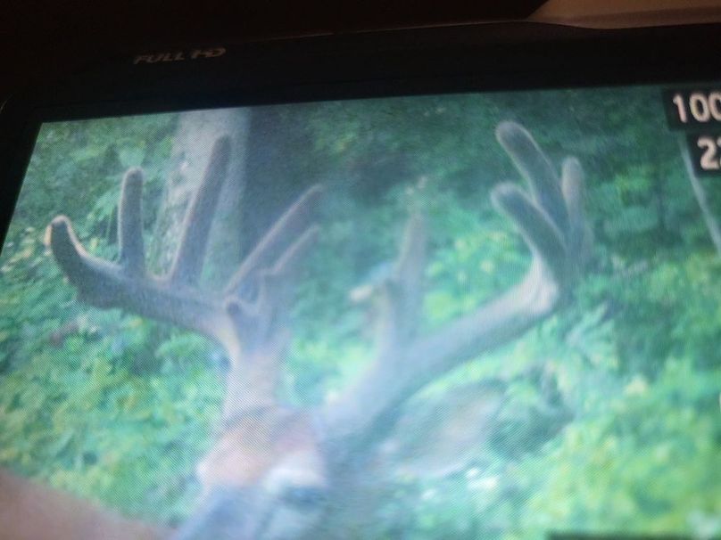 Copy of Trailcam9