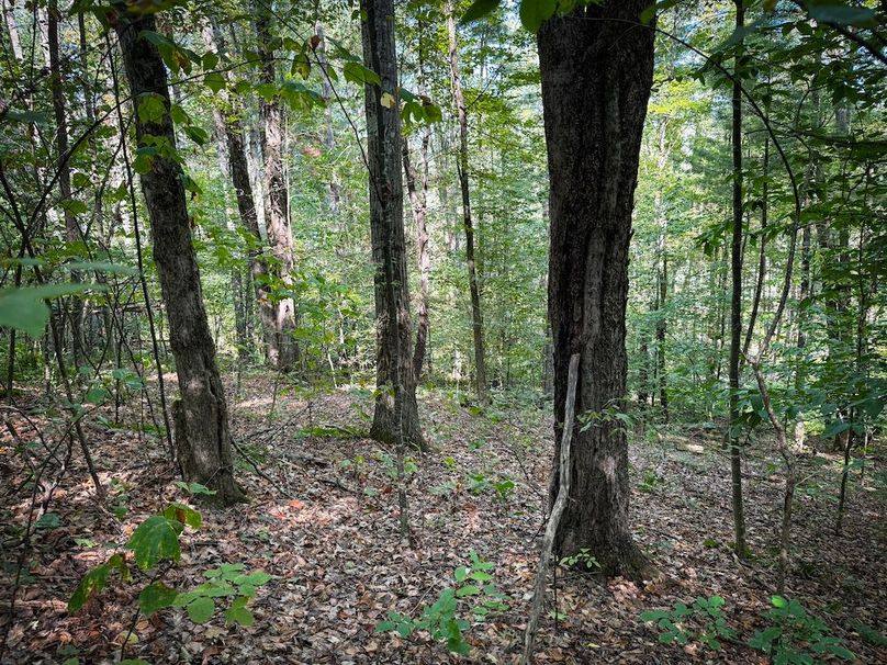 Tioga NY 86.705 Capwell Photos 32