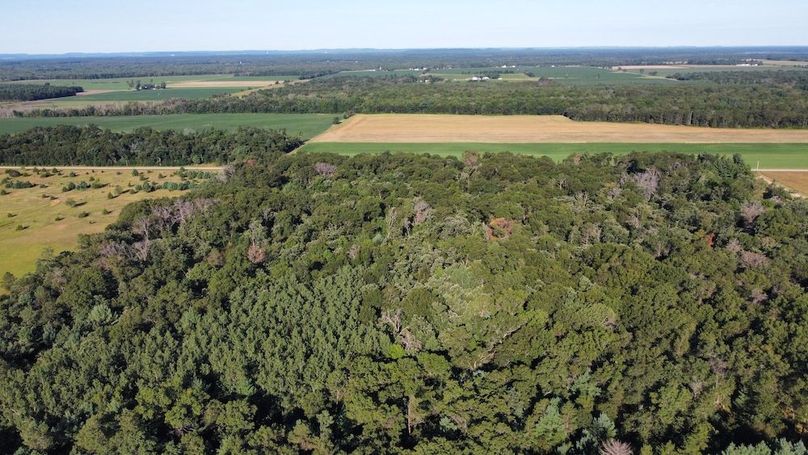 dji_fly_20240810_081644_310_1724082425549_photo_optimized