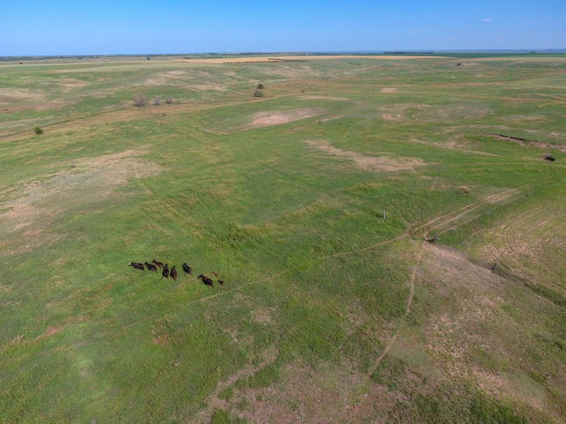 DJI_0612