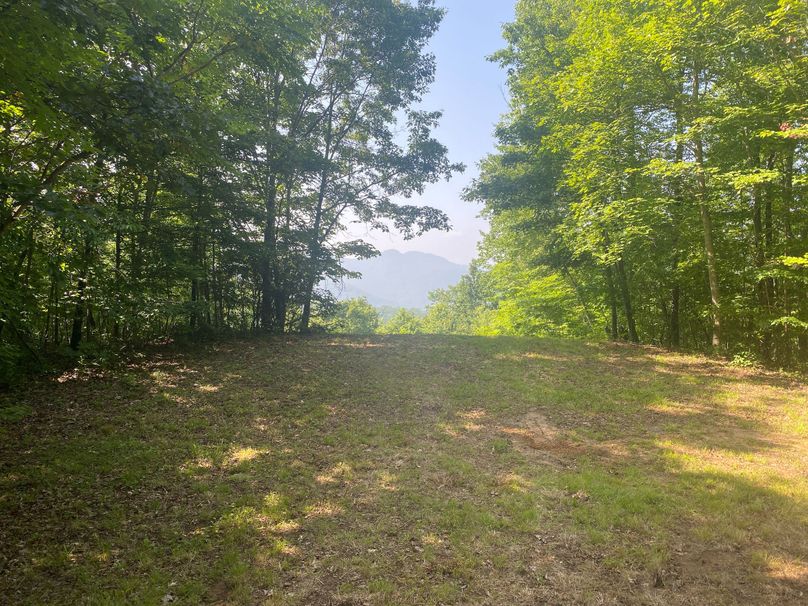 Macon 3.38 Bloodworth-02