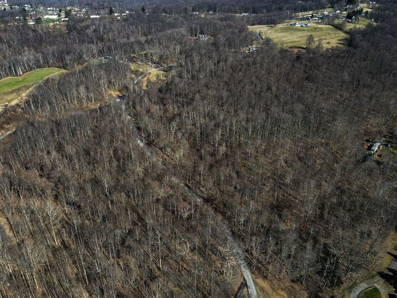 dji_fly_20240304_103228_822_1709566371058_photo