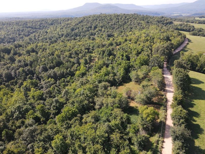 dji_fly_20240808_095132_296_1723128710806_photo