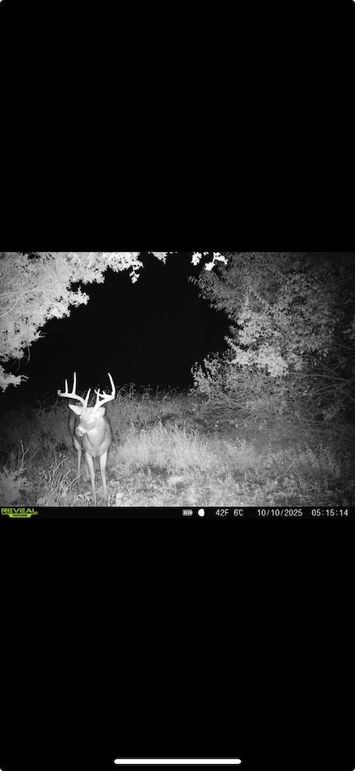 Screenshot 2026-01-09 at 12.50.16 PM