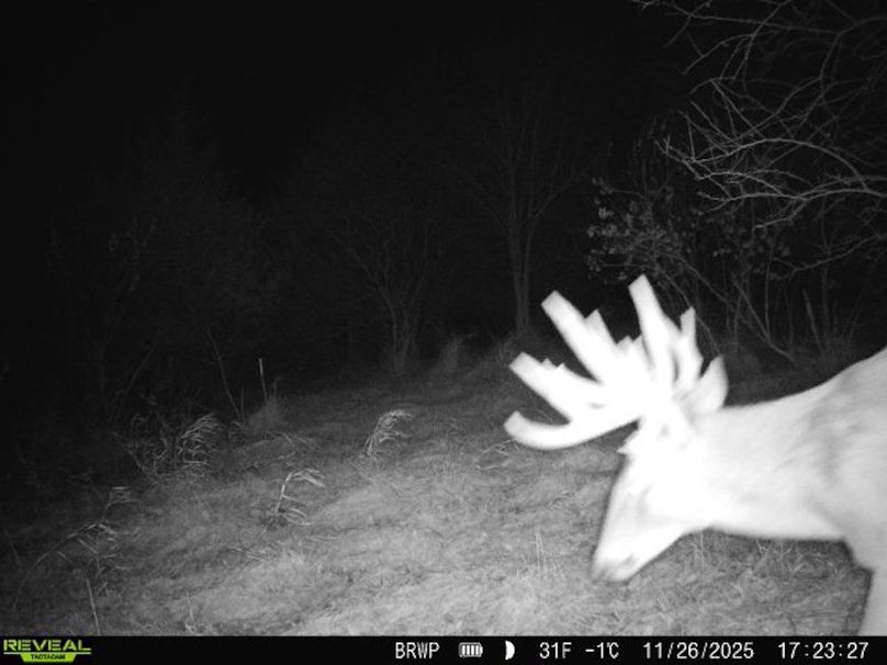 860322065924133-100-4-11262025172326-W1001359