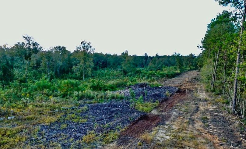 B174CD37-E6FA-43D5-B455-5A60EA3FA2B2_1_105_c