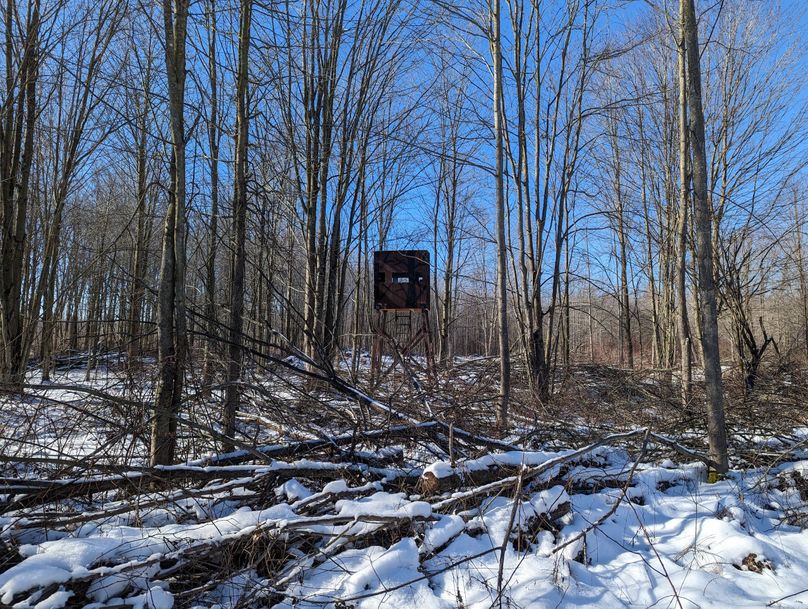 PXL_20230202_164633425