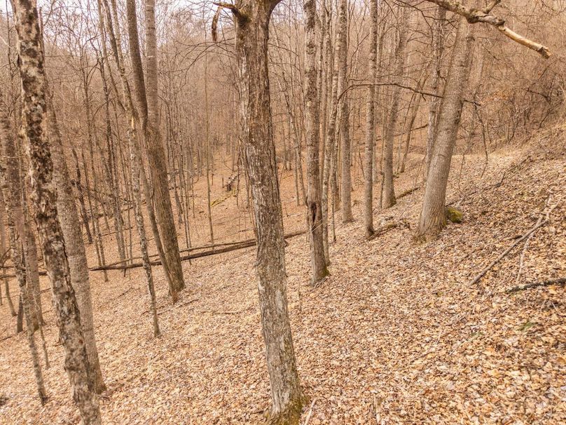 DJI_20260121111935_0038_D