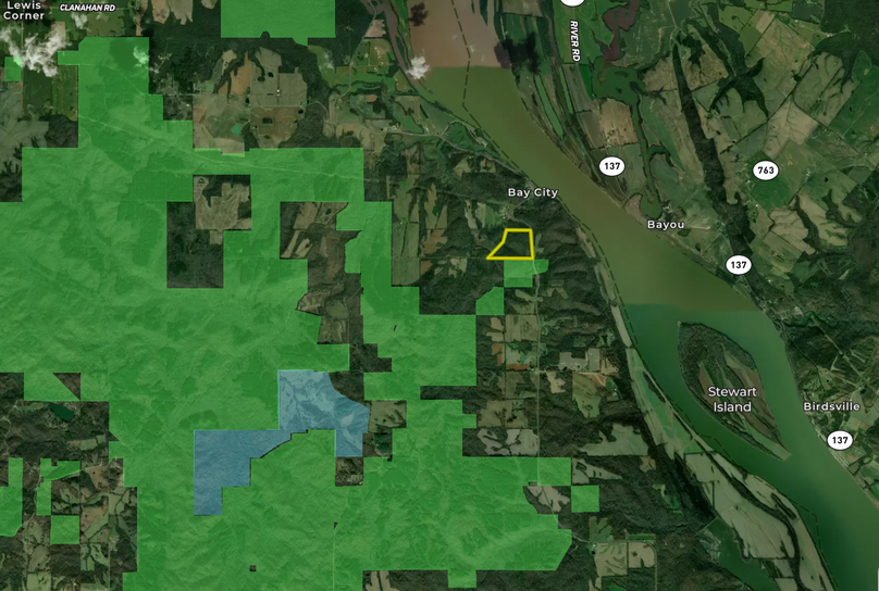 Aerial 4 Public Pope 46