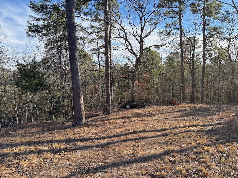 DJI_20260211_154815_357