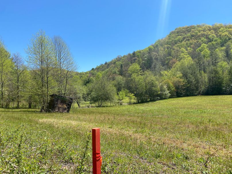 Graham 7.756 Barton-06