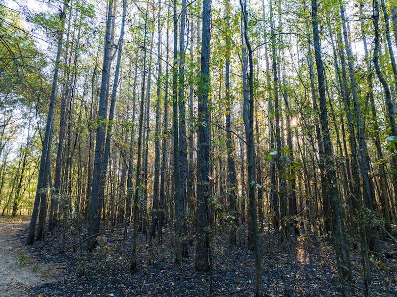 Clay 302.7 Henderson-31