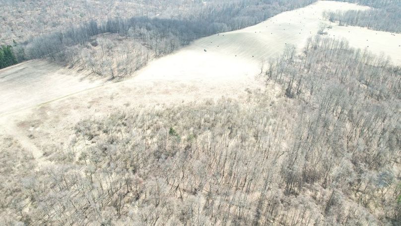 dji_fly_20250325_123610_48_1742920839451_photo