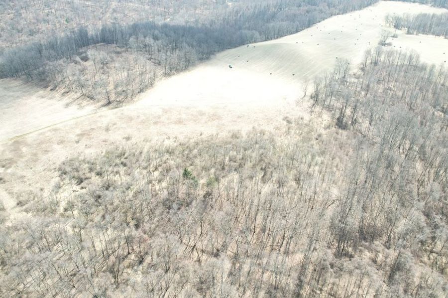 dji_fly_20250325_123610_48_1742920839451_photo