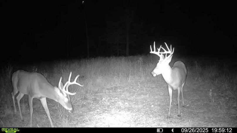 016579002575236-40-3-09262025195912-SYFW14751