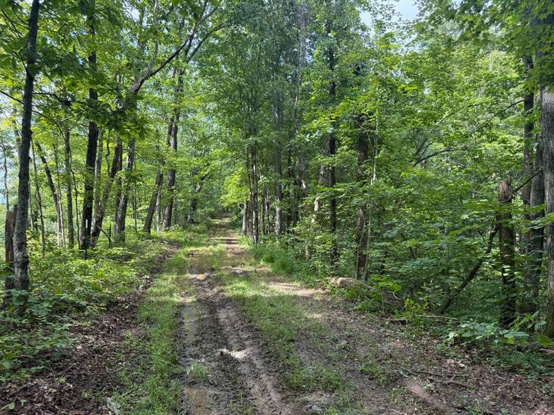 040 the perimeter trail along the southwest boundary