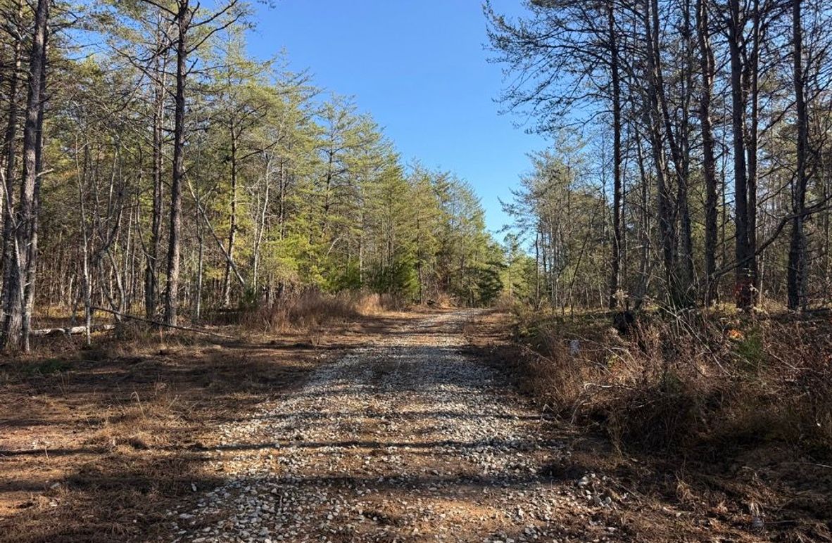 005 view of the road leading into the property