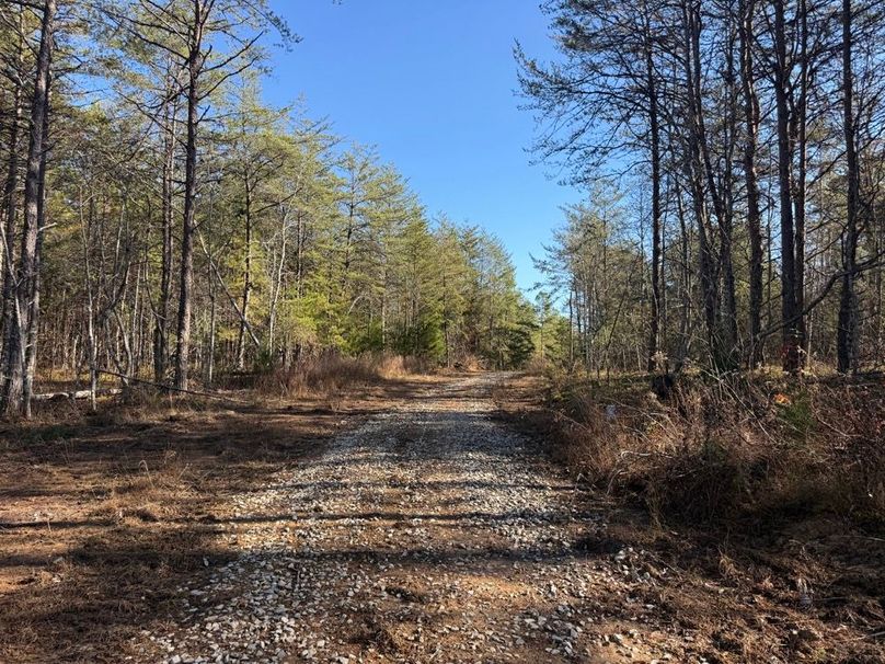 005 view of the road leading into the property
