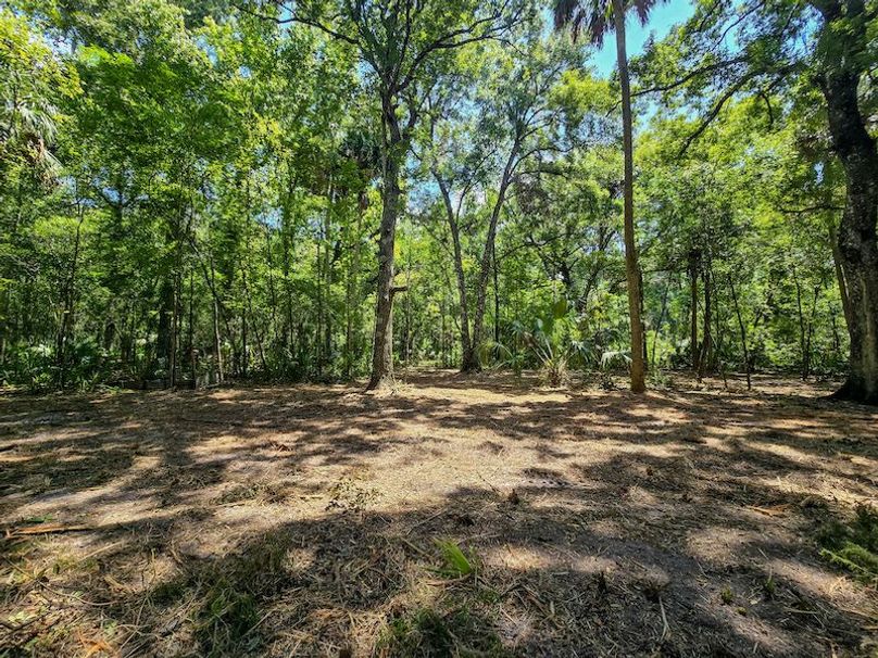 1.01ac, Citrus, Josiah Ronco20