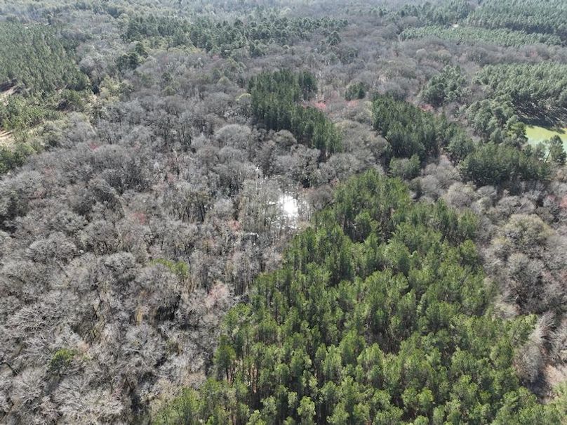 dji_fly_20240207_104204_56_1707320787152_photo