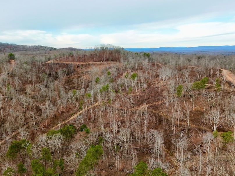 Roane Co TN 396 20251127_67