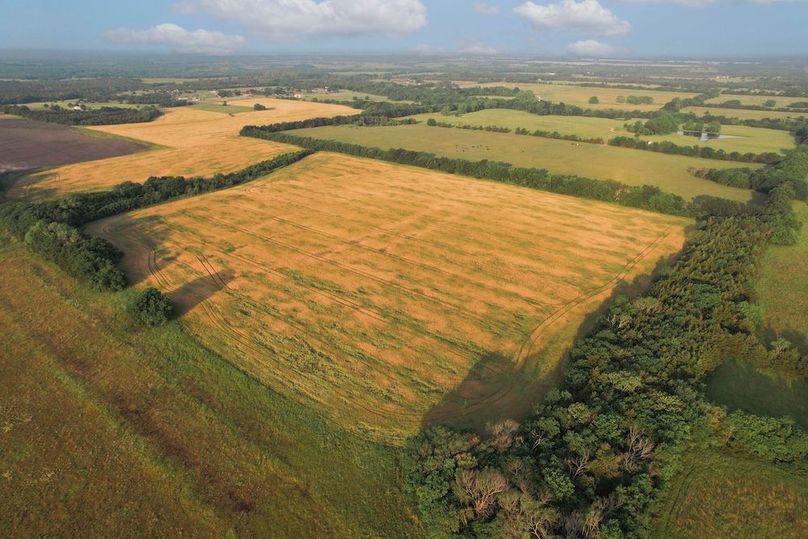 Lamar County- 92.66 Acres (9 of 29)