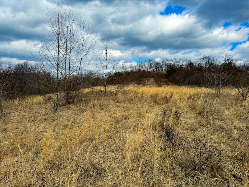 Doddridge, WV 79.08 AC Adams-64