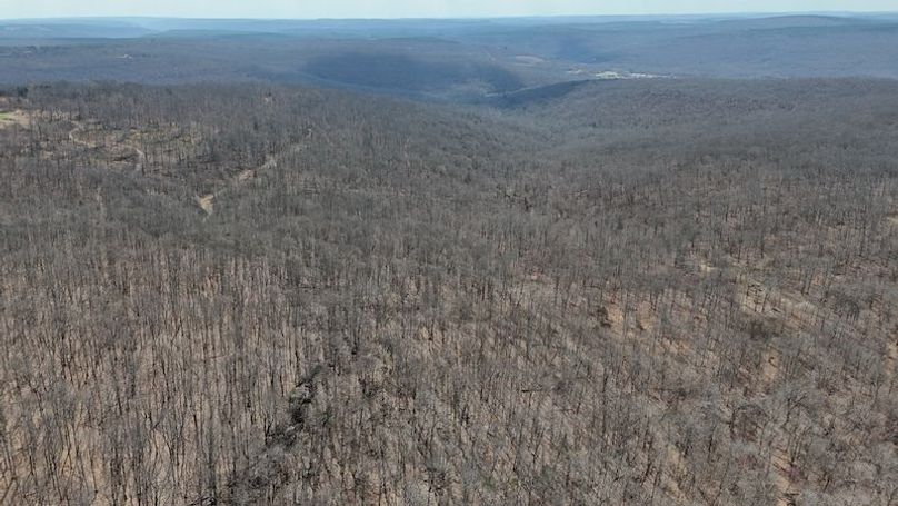 stone8020260307_0059