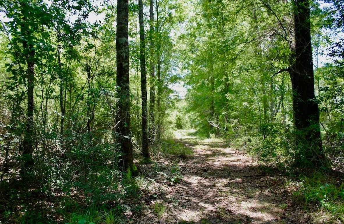 3D9E539B-EF32-4398-AF99-2FF460F86C25_1_201_a