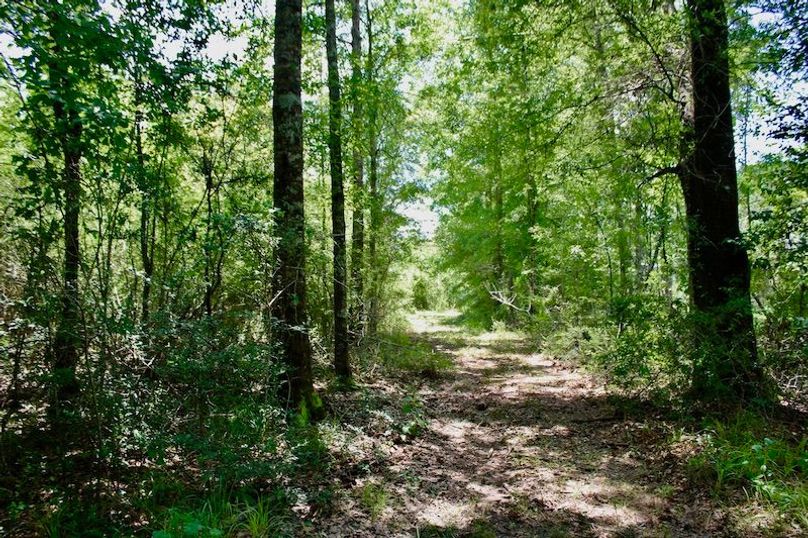 3D9E539B-EF32-4398-AF99-2FF460F86C25_1_201_a